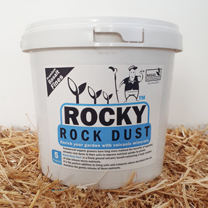 rocky rock dust